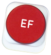 EF