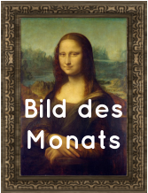 Bild des Monats