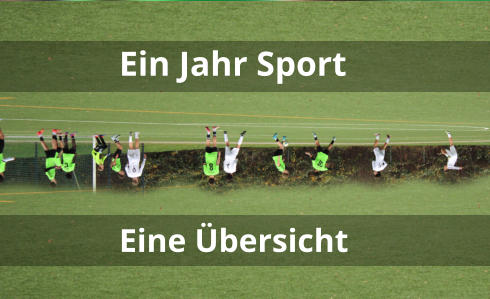 Ein Jahr Sport Eine Übersicht