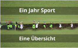 Ein Jahr Sport Eine Übersicht