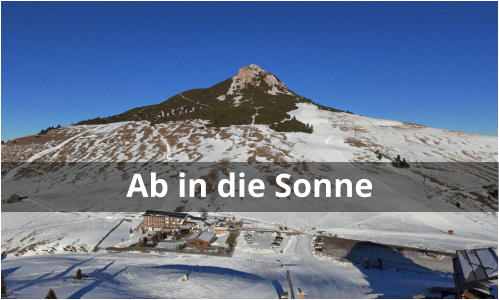 Ab in die Sonne