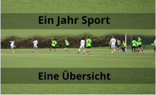 Ein Jahr Sport Eine Übersicht