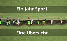 Ein Jahr Sport Eine Übersicht
