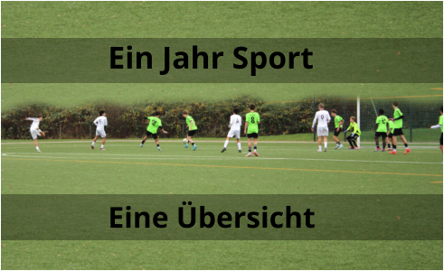 Ein Jahr Sport Eine Übersicht