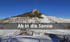 Ab in die Sonne