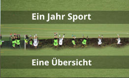 Ein Jahr Sport Eine Übersicht