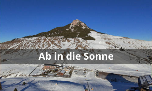 Ab in die Sonne